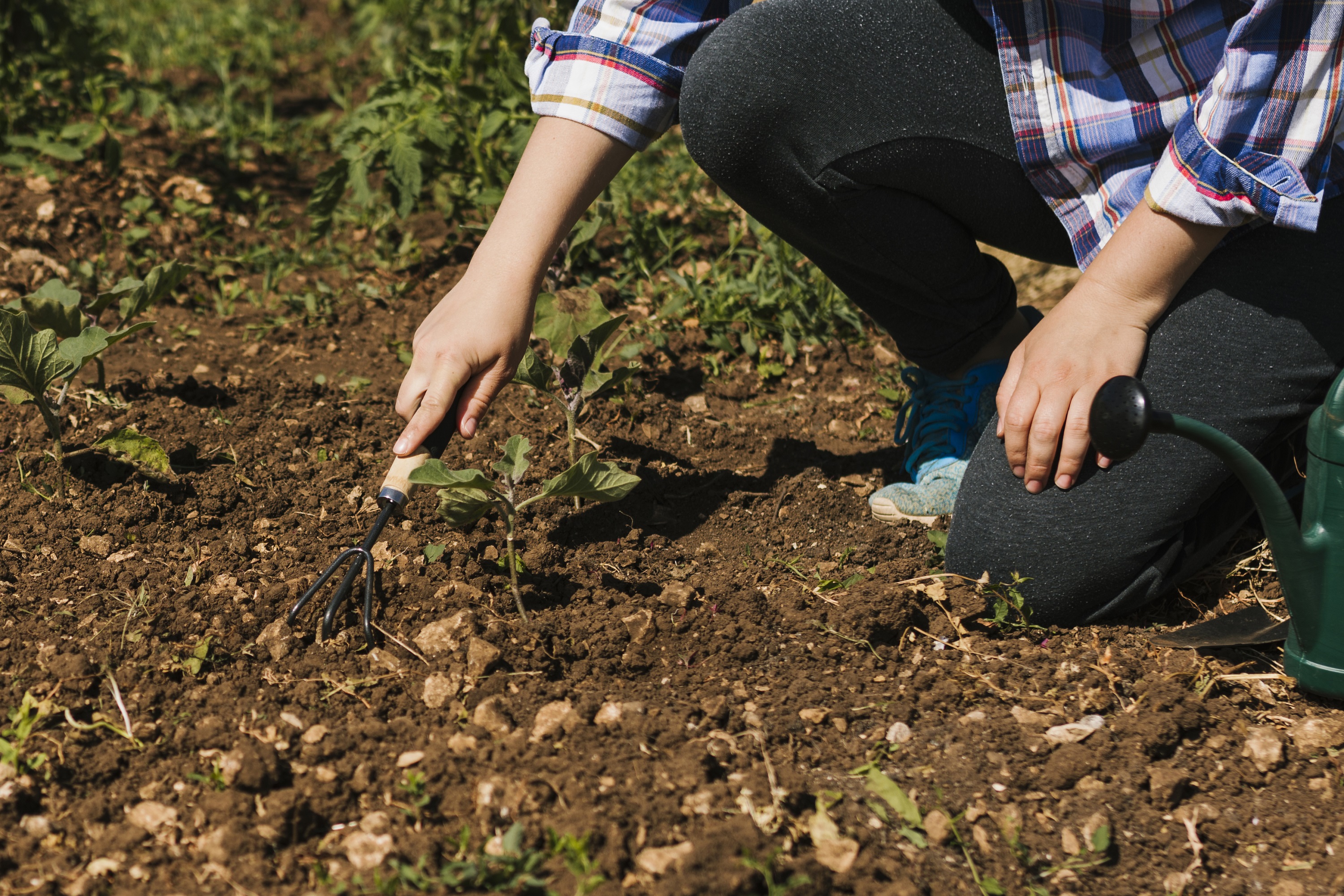 Loosen The Top Soil