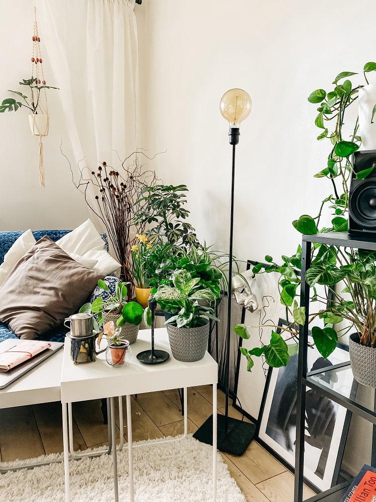 Modern Floral Decor