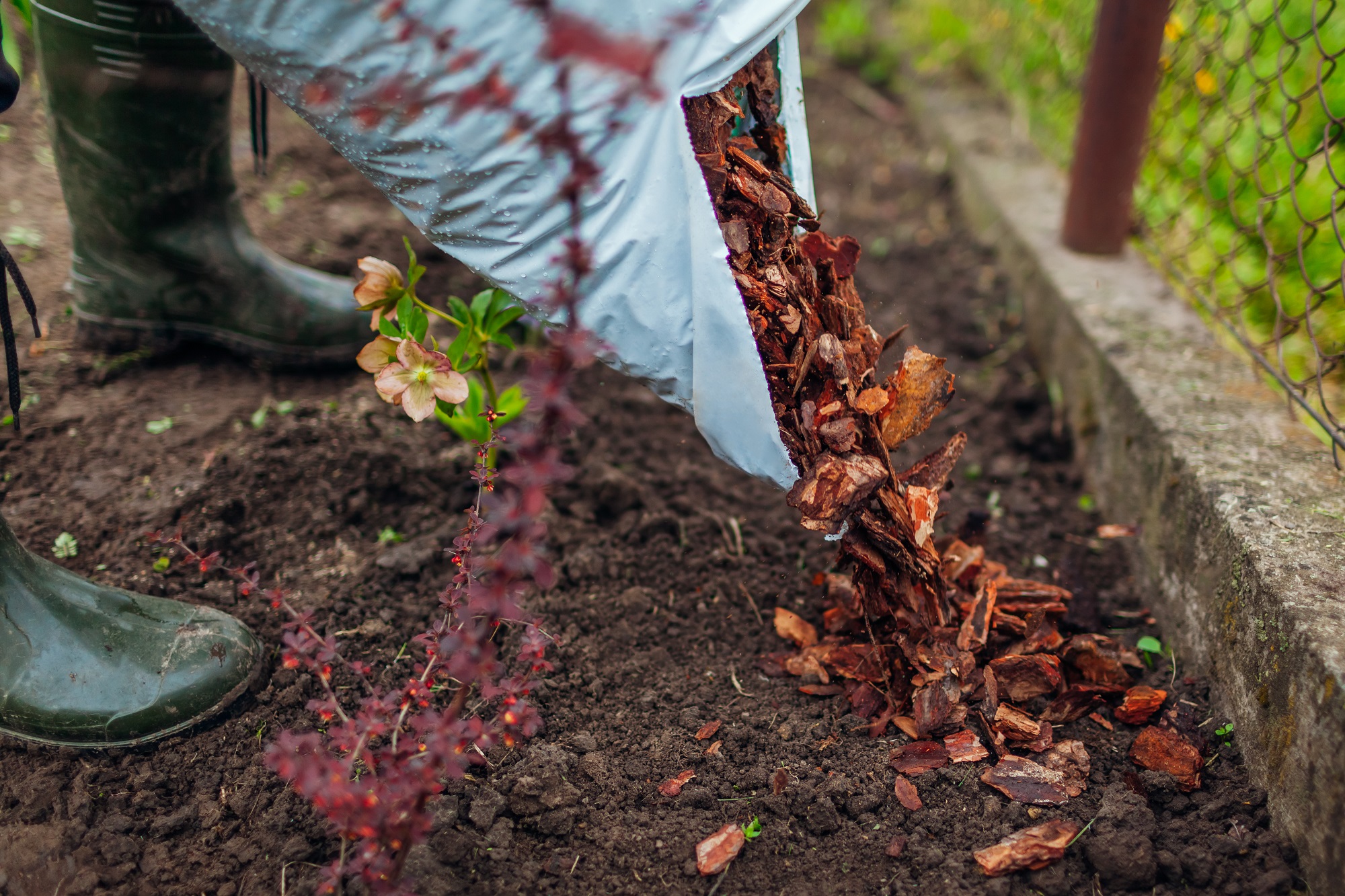 Mulching before Monsoons