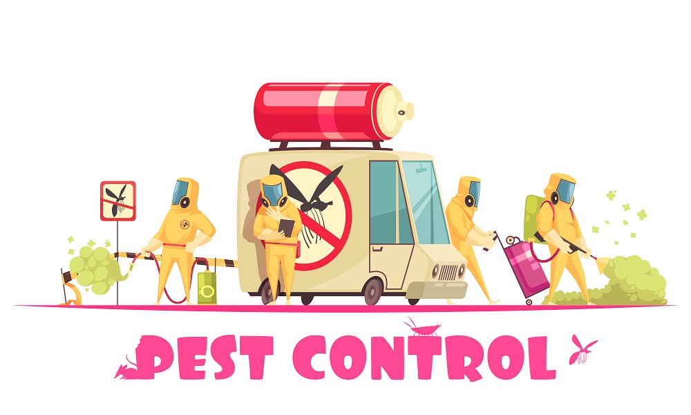 Pest control Pest control