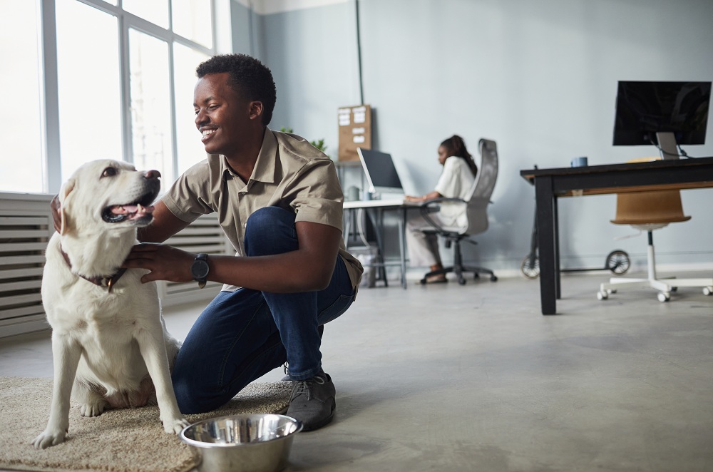 Pet-Friendly Modern Office Workspace Design Pet-Friendly Modern Office Workspace Design