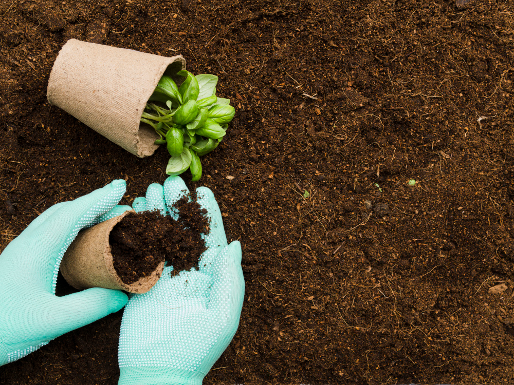 Prevent Soil Erosion