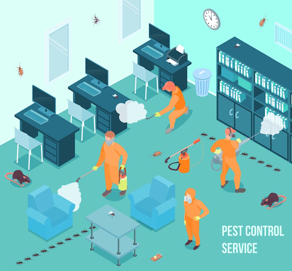 Professional Pest Control Services Professional Pest Control Services