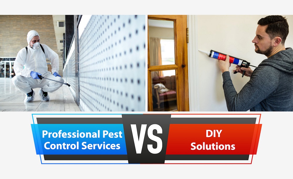 Professional Pest Control Services vs. DIY Solutions Professional Pest Control Services vs. DIY Solutions