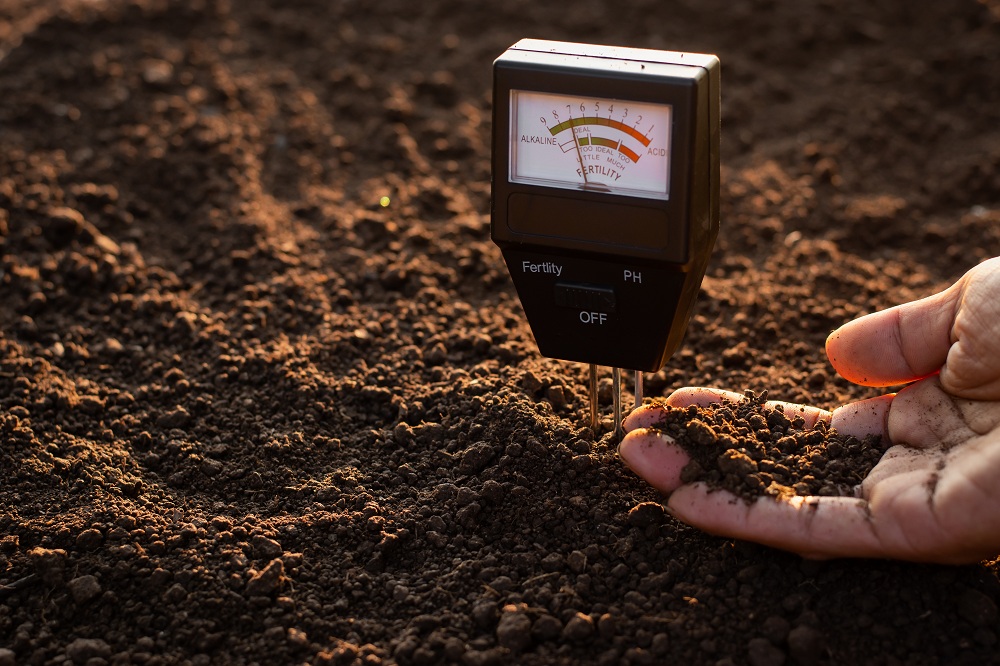 Test Your Soil To Avoid Over Fertilization Test Your Soil To Avoid Over Fertilization