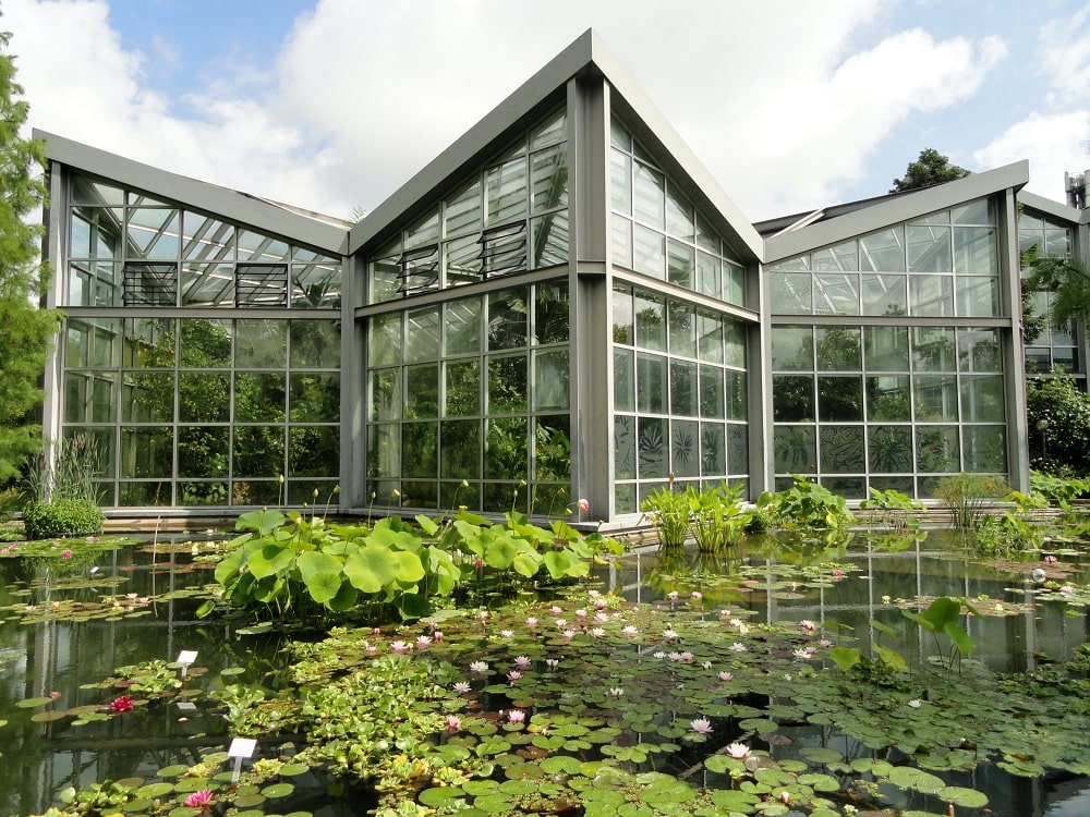 Tropicarium at Frankfurts Botanical Garden Greenhouse