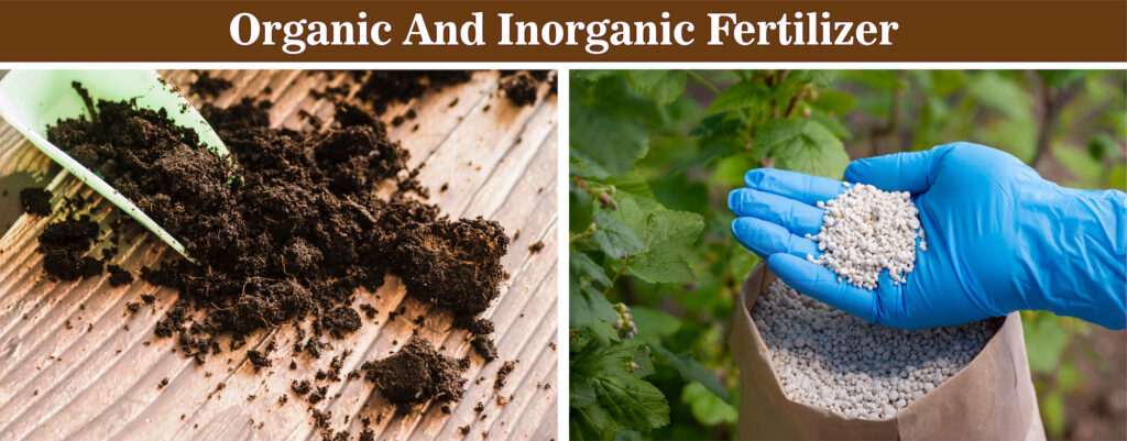 Types of Fertilizers Types of Fertilizers