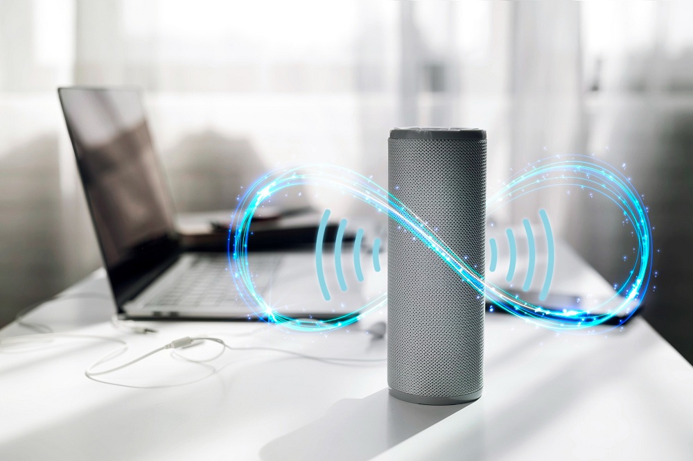 Voice Assistant