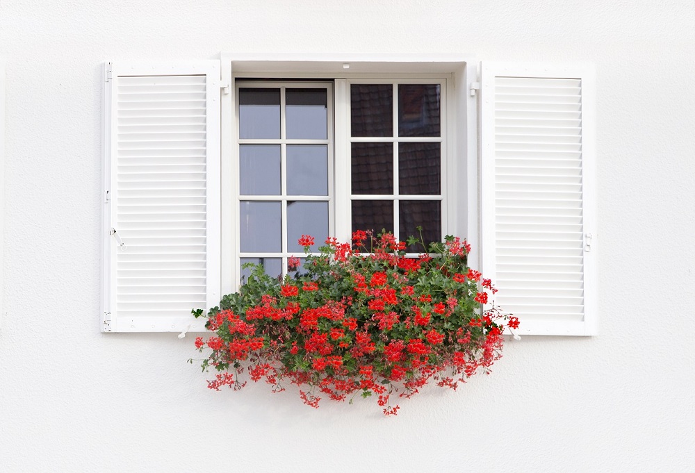 Window Shutters Elegance Window Shutters Elegance