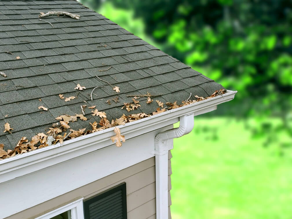 Clogged Gutters Clogged Gutters
