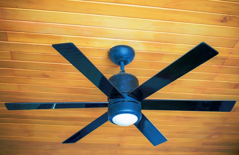 Designer ceiling fan