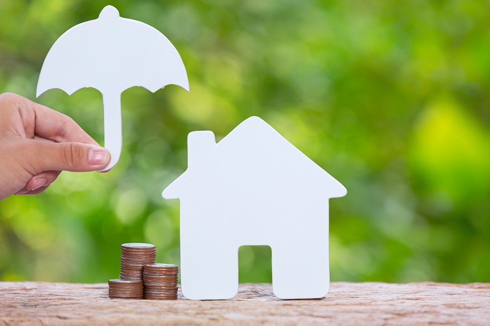 Familys Financial Security