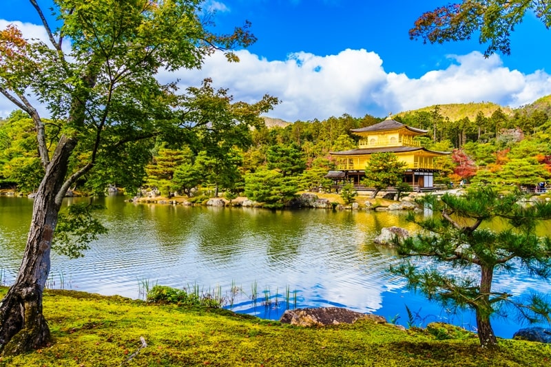 Hill and Pond Garden Hill and Pond Garden