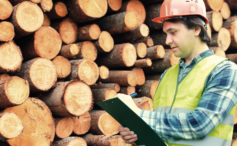 Inspecting Seasoned Timber