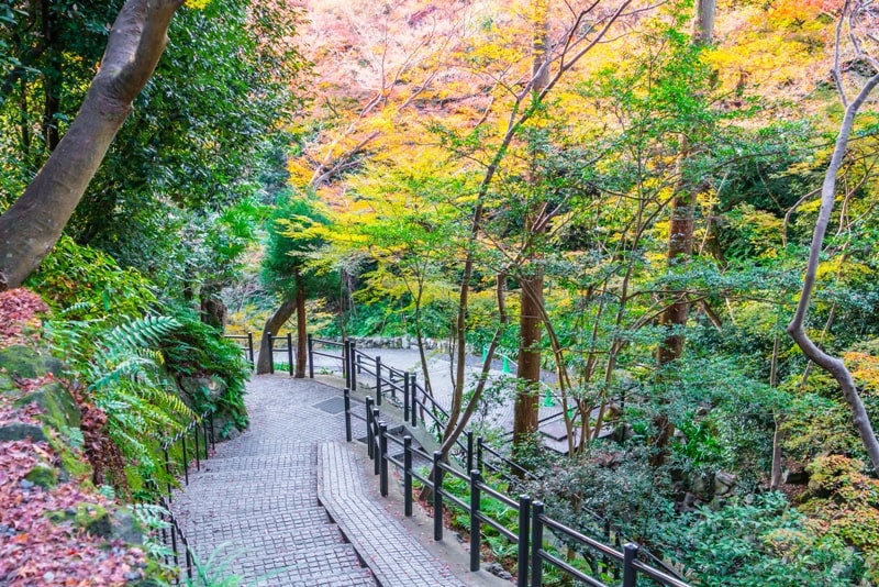 Japanese Stroll Garden Japanese Stroll Garden