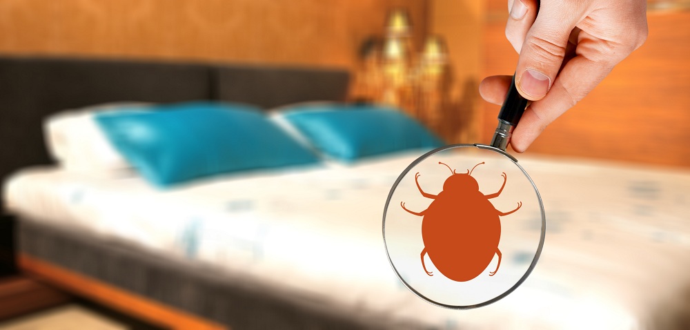 Keep Bed Bugs out of Mattress Keep Bed Bugs out of Mattress