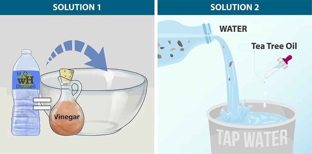 Mold Inhibitors Mold Inhibitors