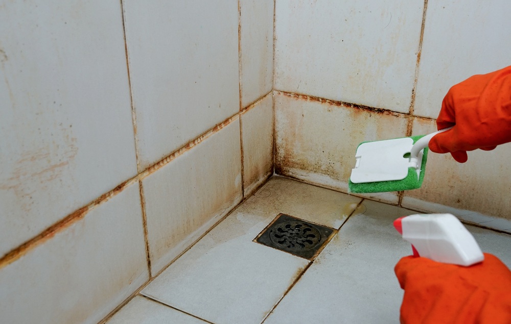 Mold Removal with Borax and Lemon Oil Mold Removal with Borax and Lemon Oil