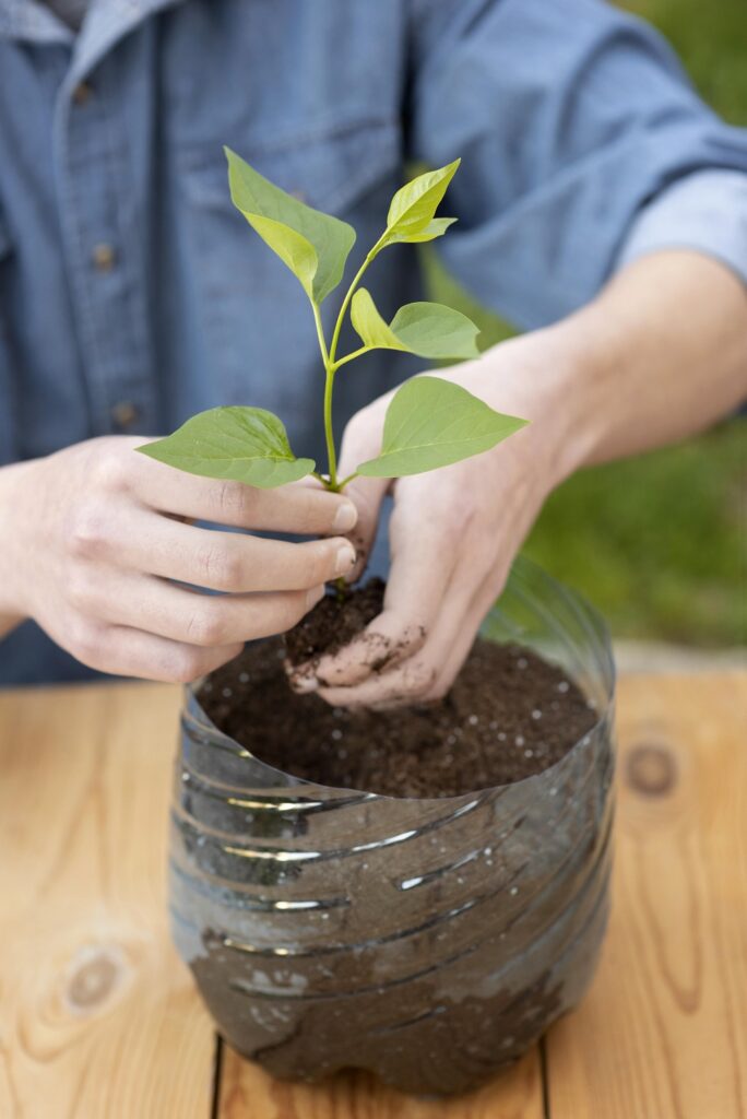 Plastic bottle as planter Plastic bottle as planter