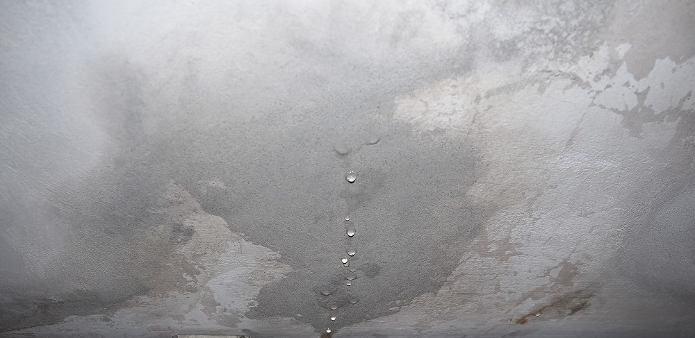Roof Leakage Roof Leakage