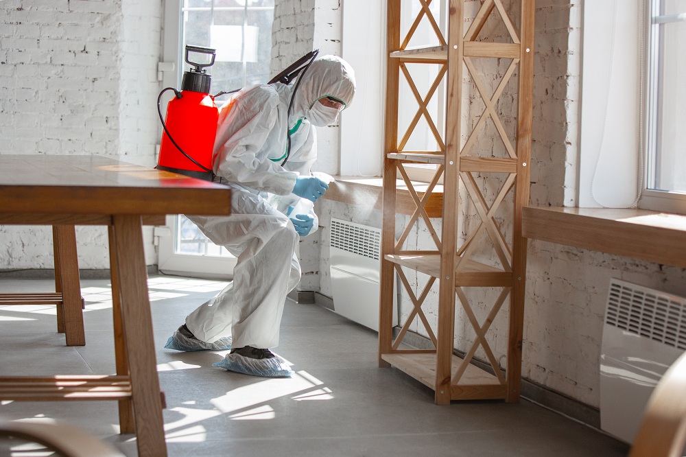 Spraying Termite Repellent on Wood Spraying Termite Repellent on Wood