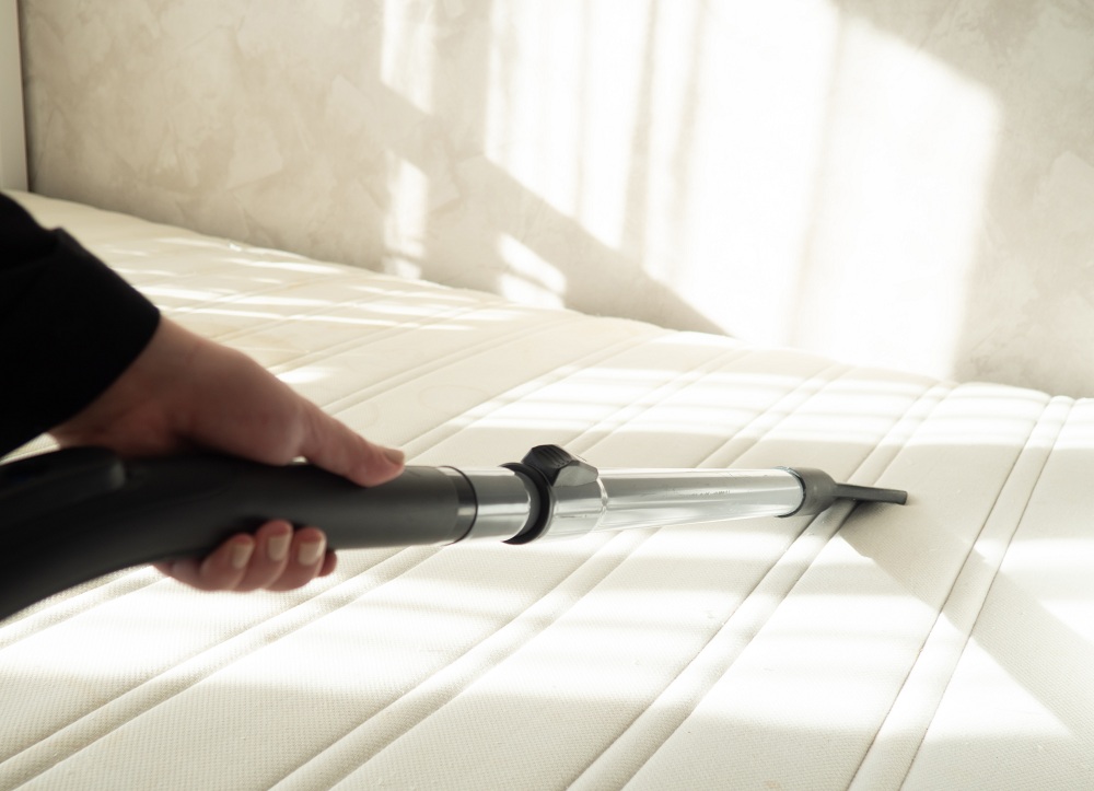 Vacuum the Mattress Vacuum the Mattress