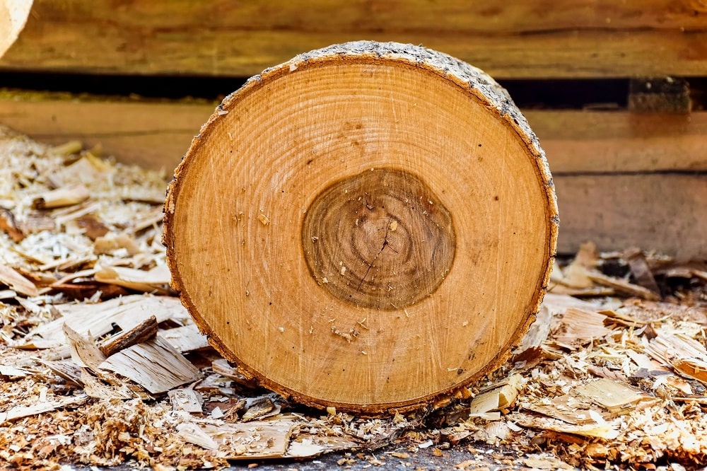 Wood Quality Improvement