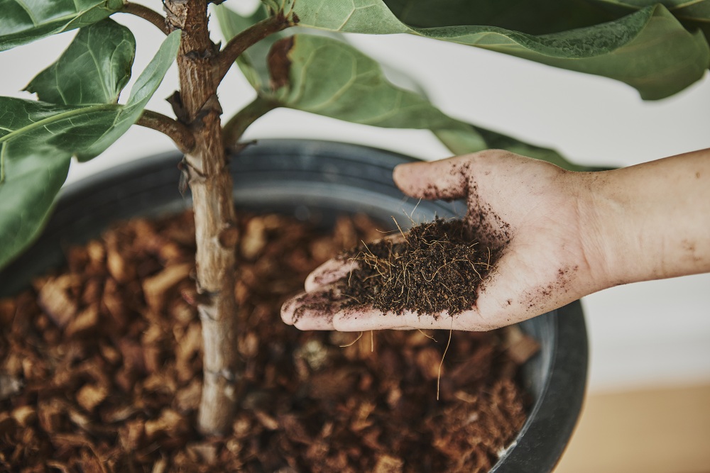 Conserving with Compost Conserving with Compost