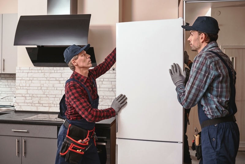 Professionals Moving the Refrigerator Professionals Moving the Refrigerator