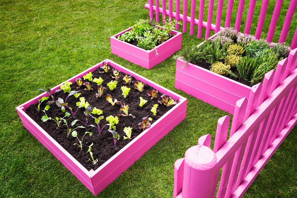 Healthy Herbs Garden Healthy Herbs Garden