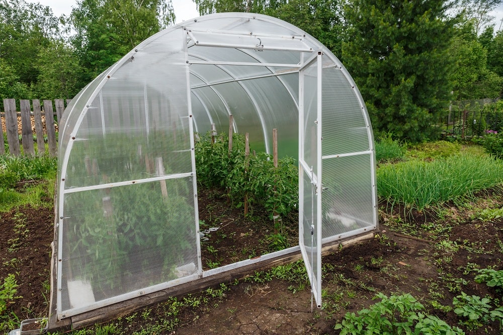 Keep Garden Protected Keep Garden Protected