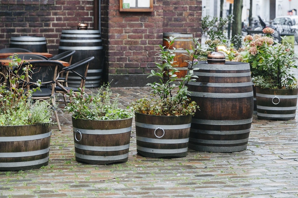 Large Containers for Gardening Large Containers for Gardening