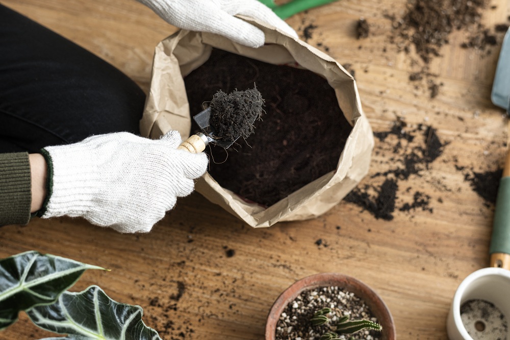 Organic Fertilizers Organic Fertilizers