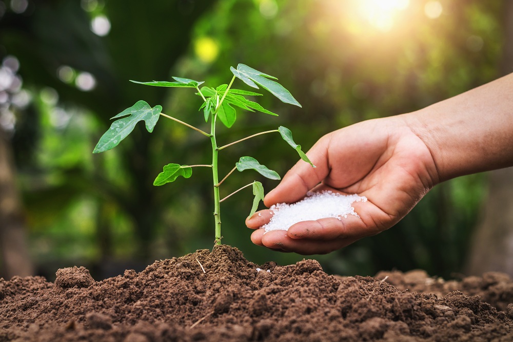 Providing Nutrients Providing Nutrients