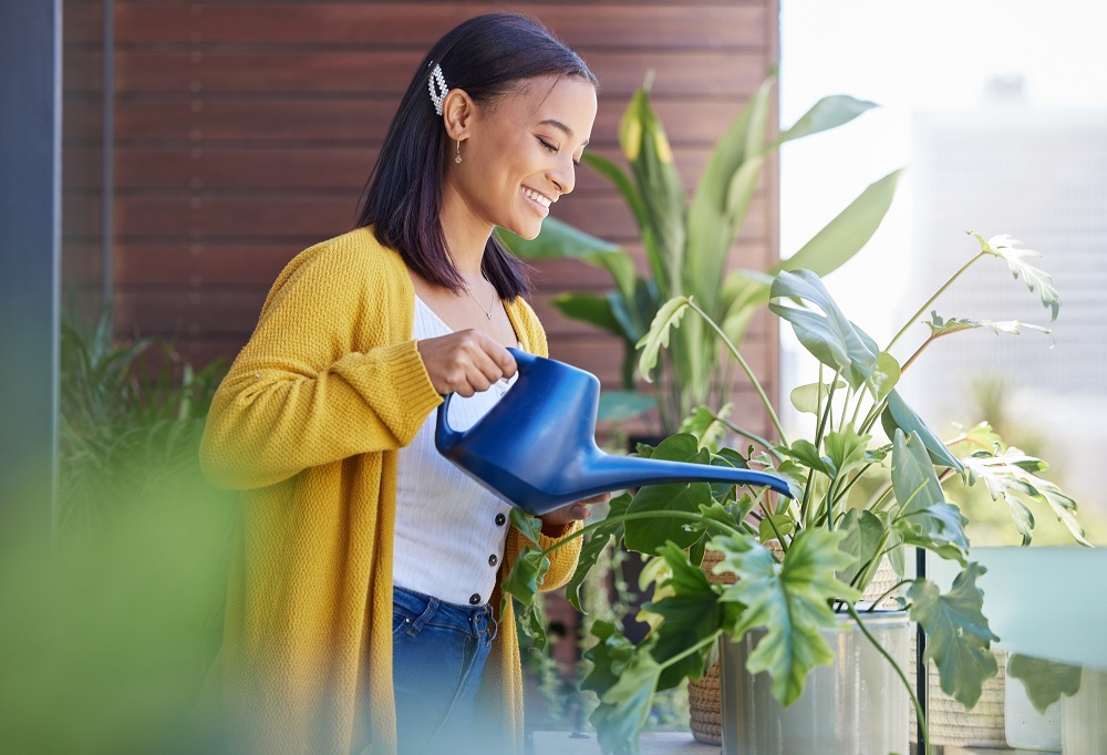 Watering Plants Watering Plants