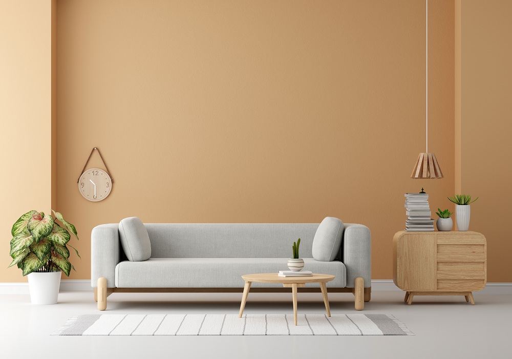 Minimalism and De-cluttering Minimalism and De-cluttering