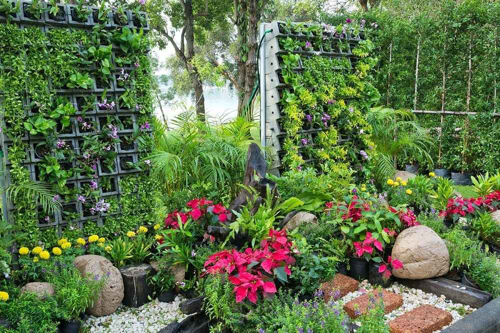 Outdoor Plants Outdoor Plants