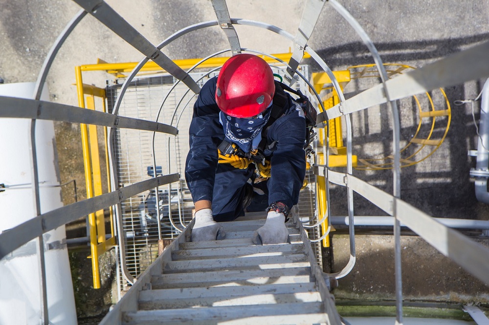 Ladder Safety Ladder Safety