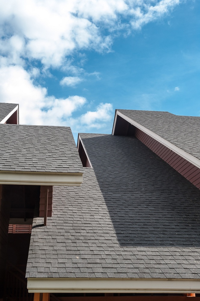 Asphalt Shingles Roof Asphalt Shingles Roof