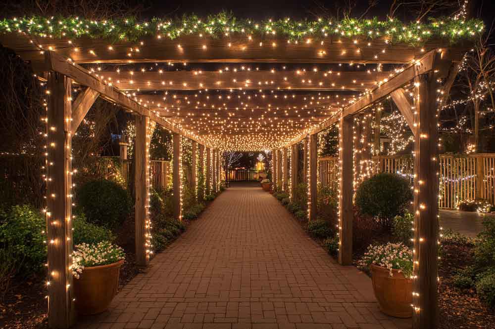 Entryway - Outdoor Diwali Decor