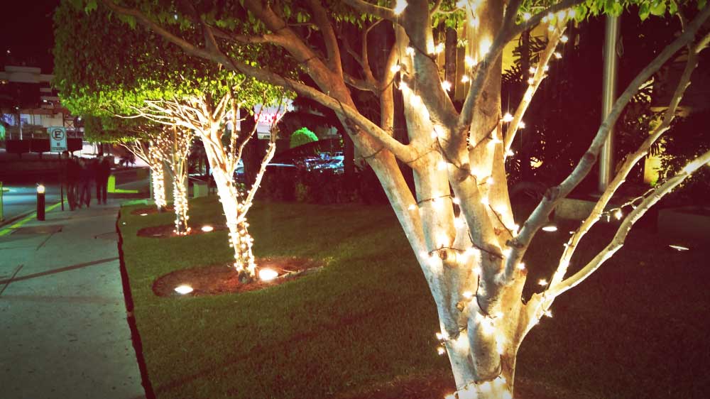 Exterior Diwali Decor - Garden