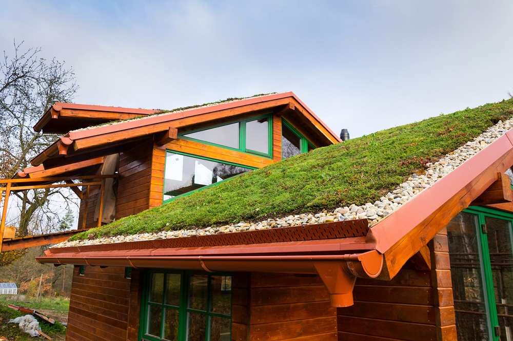 Green Roofing Green Roofing