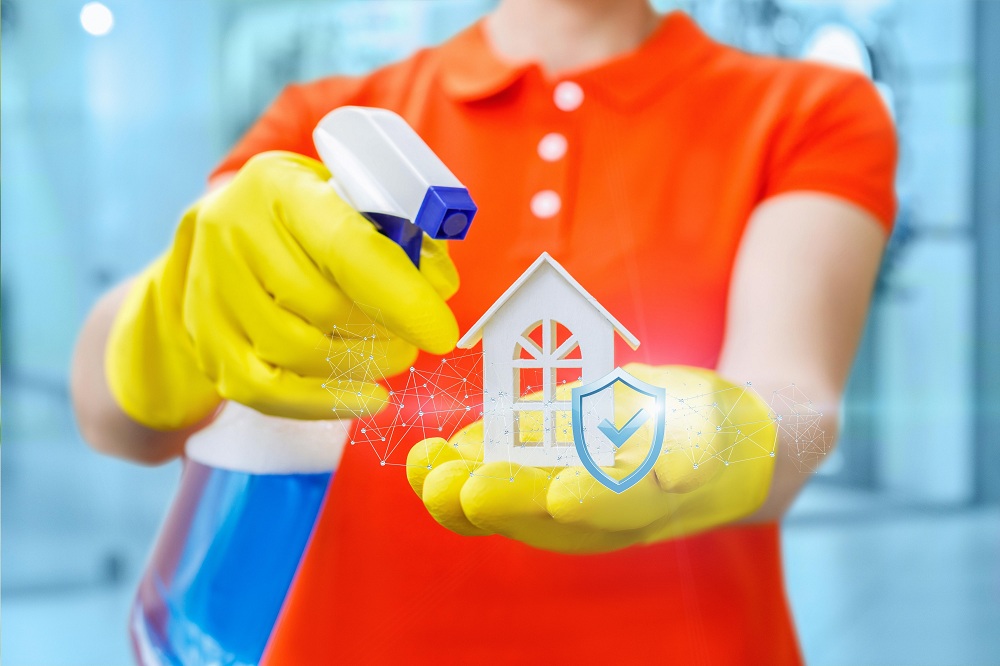 Illustration Showing Professional Cleaning Services