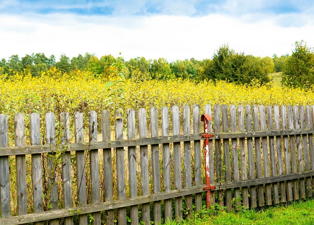 A Short Recycled Wooden Fence May be a Cheaper Option