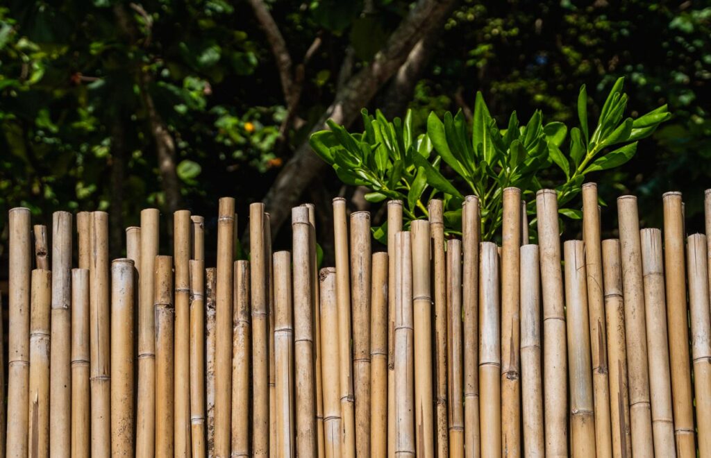 Blur the Boundary with the Help of Free-Standing Bamboo Partitions
