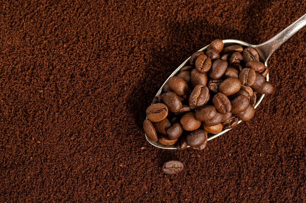 Coffee for the Plants Coffee for the Plants