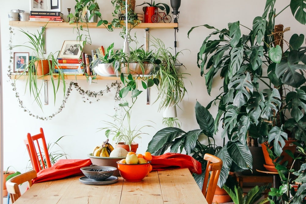 Creative Display Ideas for Low-Light
