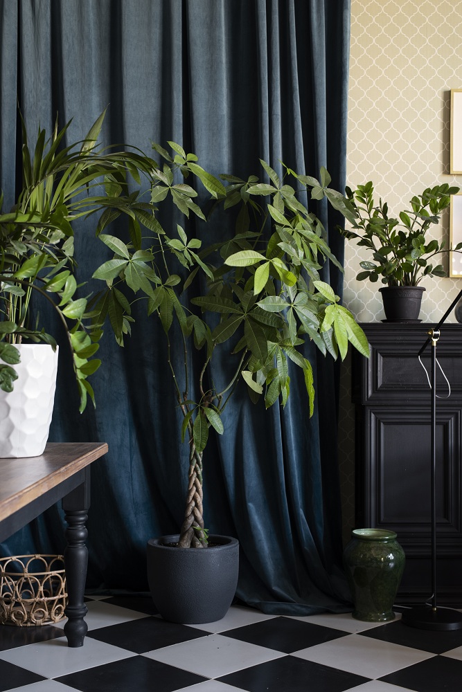 Green plant pots - modern farmhouse interior design Green plant pots - modern farmhouse interior design