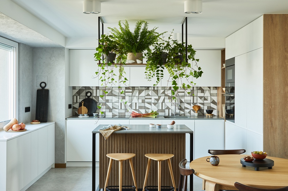 Green plants as decor item to revamp the house Green plants as decor item to revamp the house