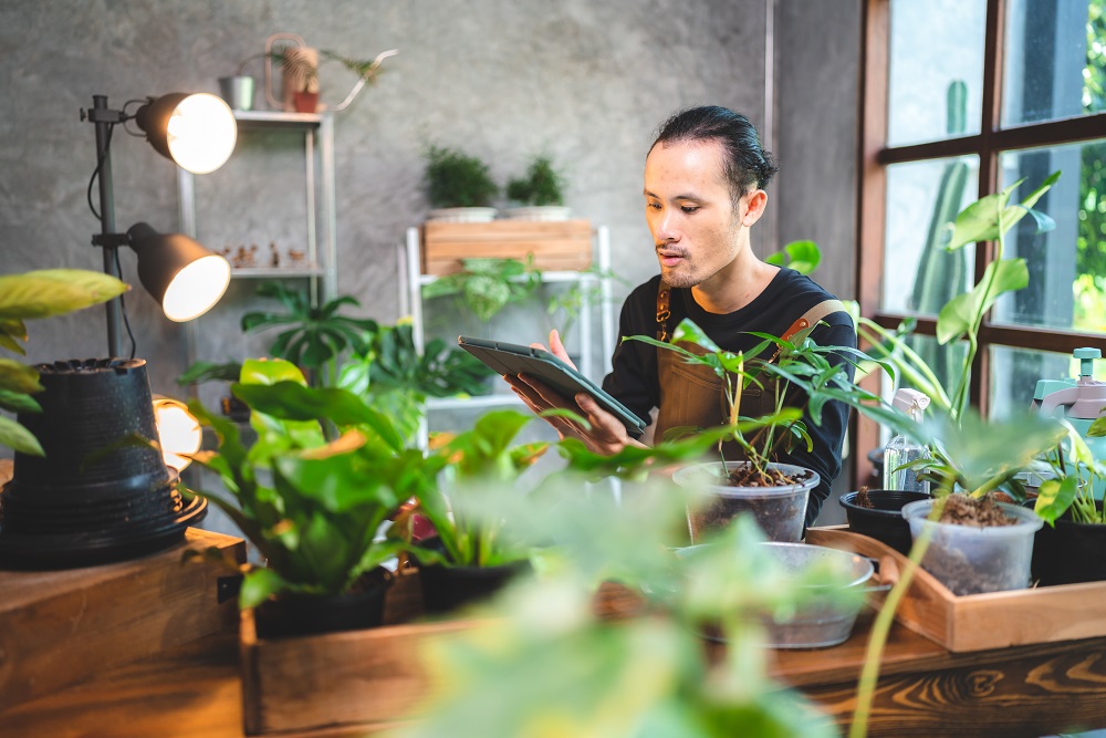 Grow Light for Supplemental Plant Lighting